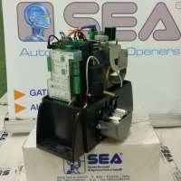 SEA 12400270
