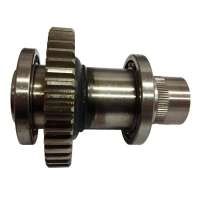 CAME 119RICX027