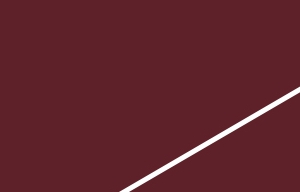 RAL 3005